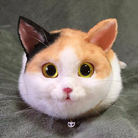 ����ߣ���⾹Ȼ��һ����������ը�ˣ�