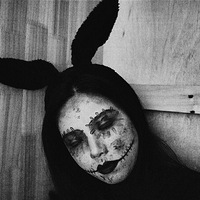 ����ӡ�ο�������