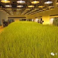 ��ҹ�˾̫ţ�ˣ��ڰ칫�����ֵأ��������˾�ȥ��ׯ��