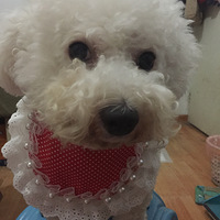 ���۾ô��м���СС�ֹ������