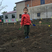 ����С�����ع�����������ͳ���μ�