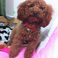 �����Բ���


�����ˡ��㻹���� ����ů