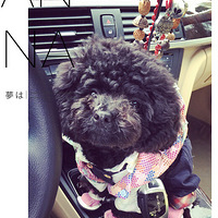 ̫ϲ�����Ǽ�С������