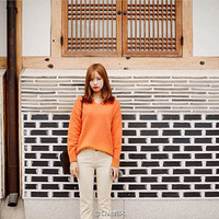 ��ʽë�£����ȿ㡢���ӳ������������