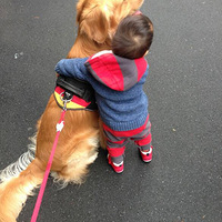 ���������װ��ġ�������ӵȡů��