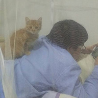 ����ȳ衿+��������㻹�����ٿɰ�һ��