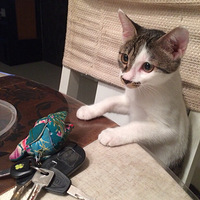 ���ǼҵĶ�b����