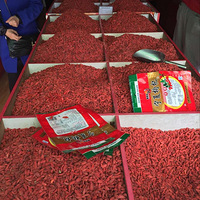 �����������ѡ�������