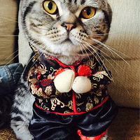 �������