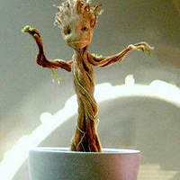 �ɰ������¸���������������׵�groot����