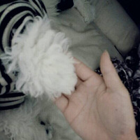 �պ���ƶ����߸��󣬲��ܶ��˸��ܻܵ���