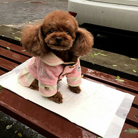 ���߹���ÿһ����·����ʵ���Ǳؾ�֮·����