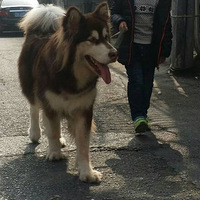 20����ĸ�������ѹë72_73�����ӣ�˧��˧