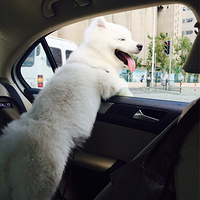 �Դ��������ǣ���ÿ�춼���Ʋ���Ե����ÿ��