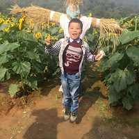 ���2006��������ܵ�2009�������