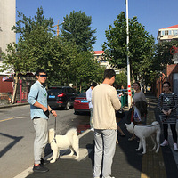 ��������ȥ���У�������ô����������ǳ�