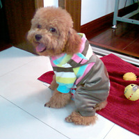 ɹɹ�Ҽұ���ƤƤ����װ��