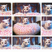 ����װ��~�ַ��è��~