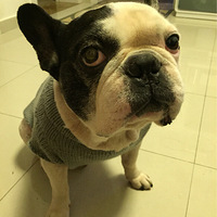 ����һ���ֵı��㳤������һ������û���֡�