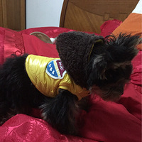 ����ð��ң��������˺ö�Ư�����·�������