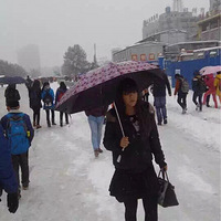 ����ö�ط���ѩ��