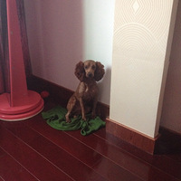 ����һ��