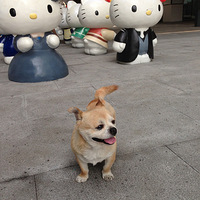 �ʶ��ϣ�������