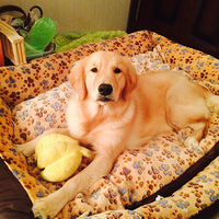 [����װ��] С��ëůů��ԡ��һ�������Ƿ�������~