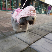 ������װ�����������������£��и�Ҳ�����