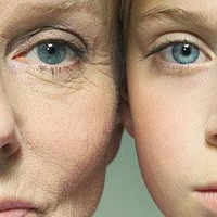 �������������� �����������Ƴ�����˪��