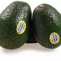 Խ���ز�����������ˮ