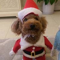 ����ͻ�䣬���ʥ������