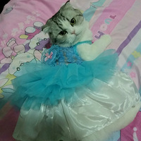 ׬����!����ͼƬ�����.     �����