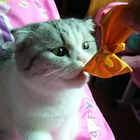 What are you  Ūɶ��      �и���