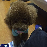 ���������޵�����֮�����޵�������������