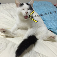 �Ҽҵĸ��үԽ���Ŀɰ���