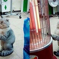 ������12�ºţ�ɹɹ�ҵĶ�������