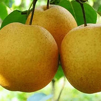 ��Щ����������ô���꣬�����ļ�ֵ�㶼֪����