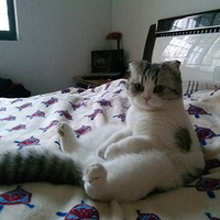 ����,��ȷ��Ҫ����˯����