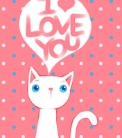 ���������� + ������������+���з磨���޷���ë�¡�����