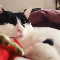 ������ͷ�����߼ǡ�