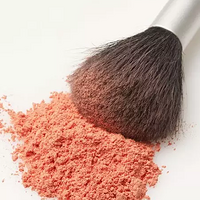 �����վ�׷��ͣ ��ױ����ױ���������ģ�