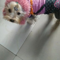 ������װ��������ֽҲ�������ʱ��