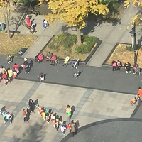 С��ӥ����������