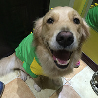 ������װ��������һֻС����