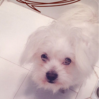 ������ô�ã��һ�û��Ů���ѣ����������Ϊ