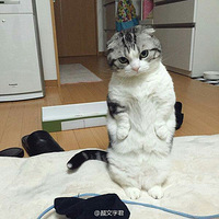 ����վ�������˿��������������Ҫ��Ϯ�ˡ�