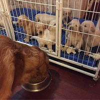 �°�������ֹ�������Ӵ��ˣ�����������