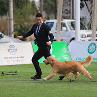 �ۺ����ڳɳ��ˡ���