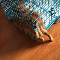 ��һ���Ҽұ�����˯��